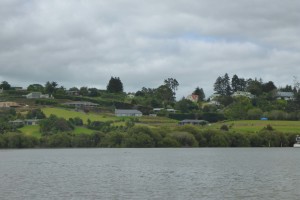 Kerikeri Inlet 513